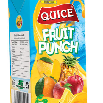 Quice 250 ml fruit punch