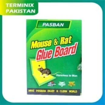 Mouse & Rat Glue Book