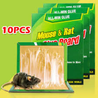 Mouse & Rats Glue Traps