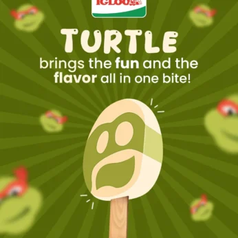 IGLOO – Turtle – Rs50